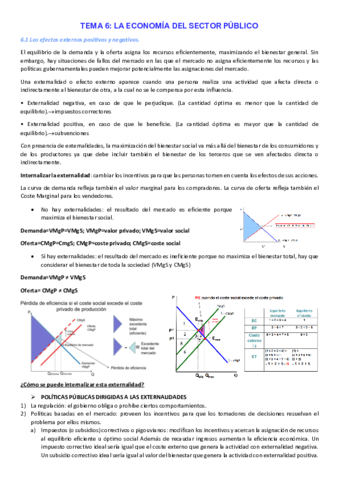 TEMA-6.pdf