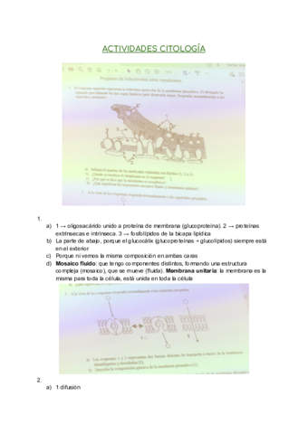 Actividades-Citologia-.pdf