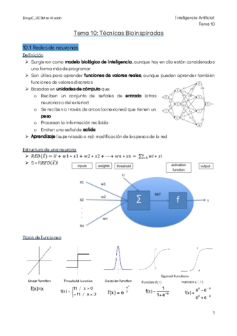 Tema-10-Tecnicas-Bioinspiradas.pdf