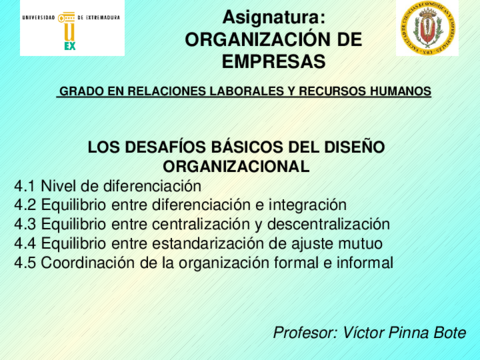 TEMA4OELos-desafios-basicos-del-diseno-organizacional.pdf