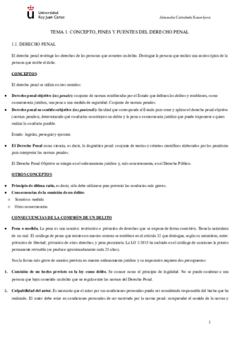 DERECHO-PENAL-INTERNACIONAL-APUNTES.pdf