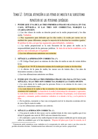 Tema-12-especial-atencion-a-la-pena-de-multa-y-al-subsistema-punitivo-de-las-personas-juridicas-1.pdf