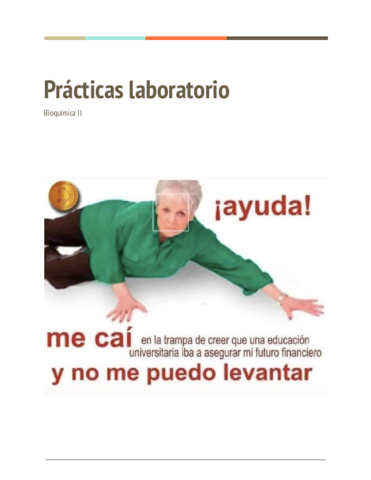 Practicas-lab-BQII.pdf