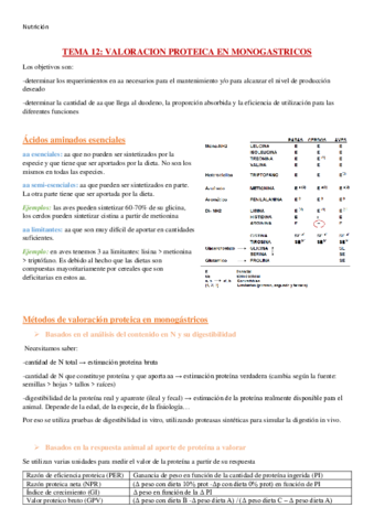 Nutri-2-cuatri.pdf