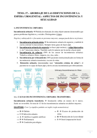 Tema-17.pdf