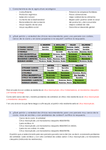 Tipo-examen.pdf