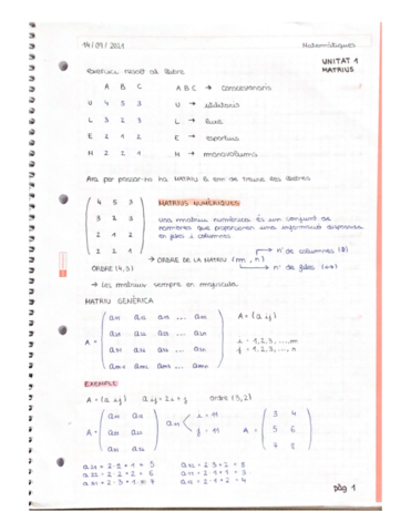 Unitat-1-Matrius-P1.pdf