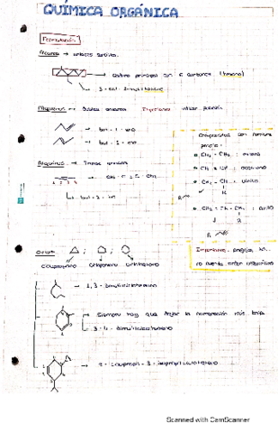 apuntes-organica-1-y-2-parcial.pdf