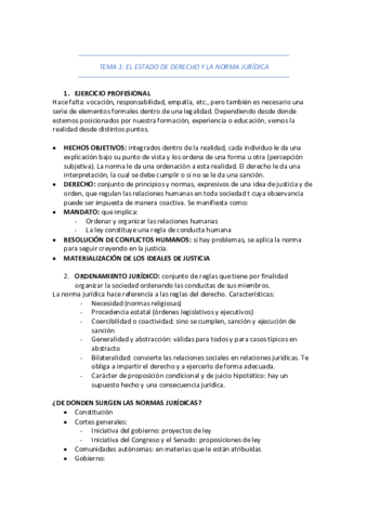 TEMA-1.pdf