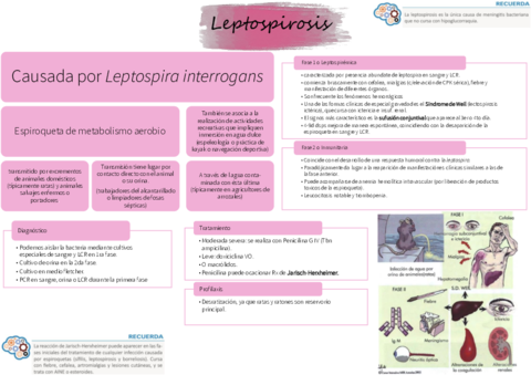 LEPTOSPIROSIS-RESUMEN.pdf