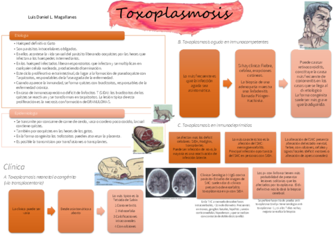 TOXOPLASMOSIS-RESUMEN.pdf