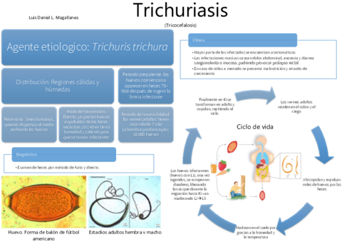 TRICHURIASIS-RESUMEN.pdf