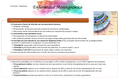 ENFEMEDAD-MENINGOCOCICA-RESUMEN.pdf
