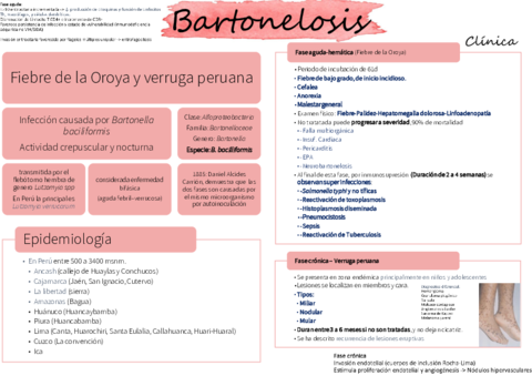 BARTONELOSIS-RESUMEN.pdf
