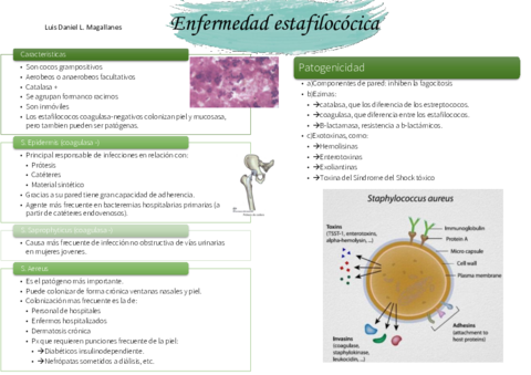 ENFERMEDAD-ESTAFILOCOCICA-RESUMEN.pdf
