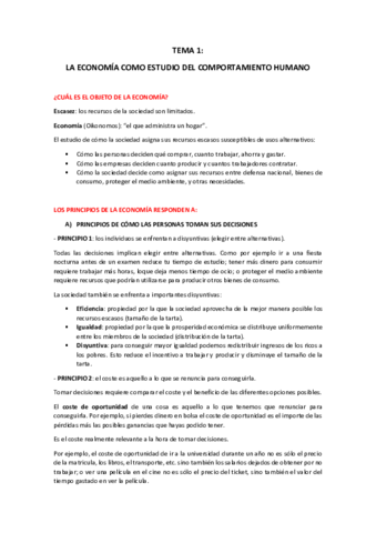 Apuntes-microeconomia-aplicada.pdf