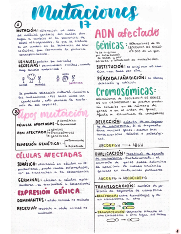Mutaciones.pdf