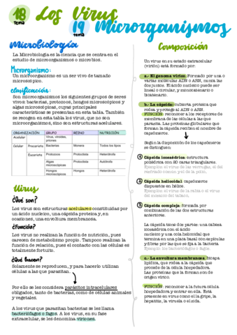 1819-virus-microorganismos-.pdf