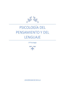 Psicología del Pensamiento y del Lenguaje.pdf
