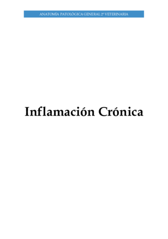 Inflamacion-III.pdf