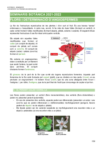 Parcial-2-Botanica-21-22.pdf