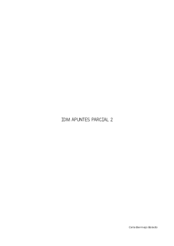 IDM-Parcial-2.pdf