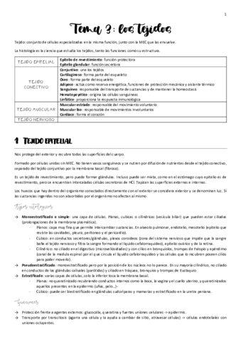 APUNTES-tema-3.pdf