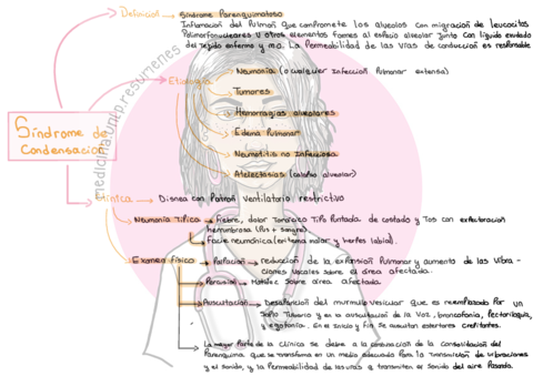 sme de condensación.pdf