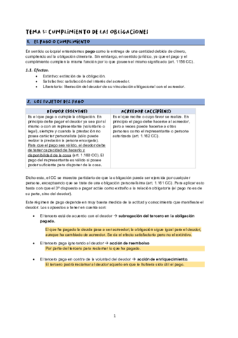 TEMA-V-CIVIL.pdf