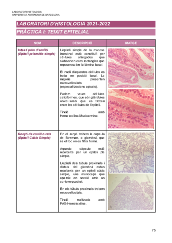 Lab Histologia