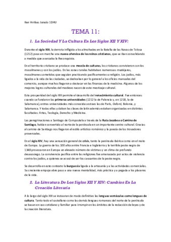 TEMA-11-Literatura.pdf