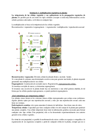 Seminarios.pdf