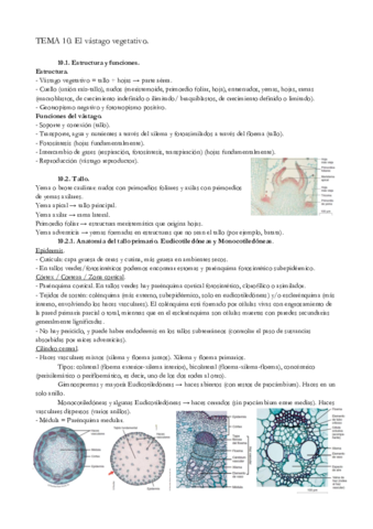 TEMA-10.pdf