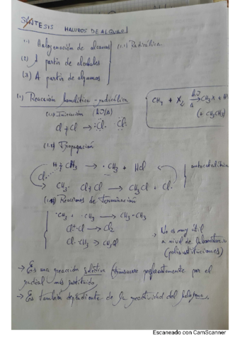 Apuntes-claves-primer-parcial.pdf