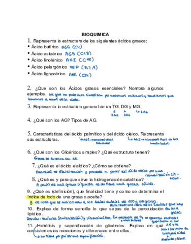 SEMINARIO-lipidos.pdf