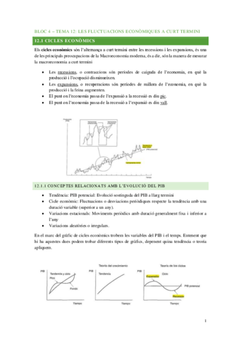 EPBloc4Tema12fluctuacionscurttermini.pdf