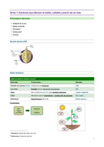 Resumenes-bebidas-espirituosas.pdf