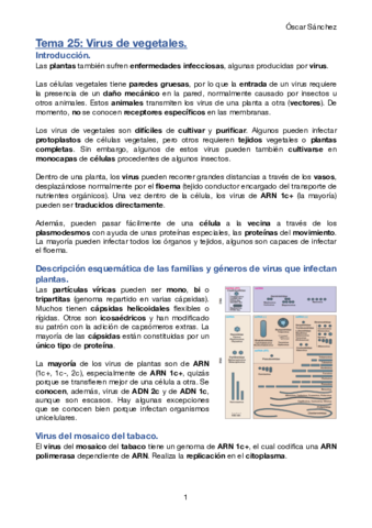 Tema-25-Micro-II.pdf