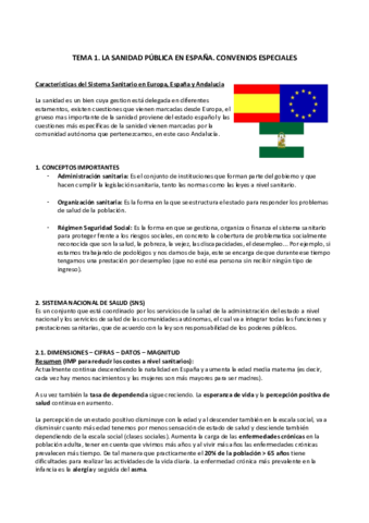 TEMAS-RAQUEL.pdf