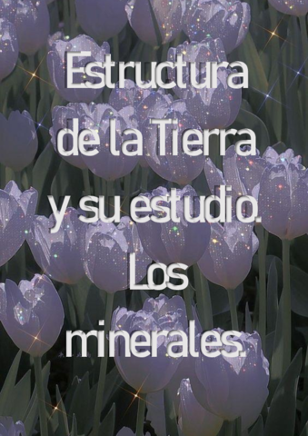 Estructura-de-la-Tierra-y-su-estudio.pdf