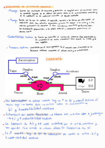 PRACTICA-5-FARMACOLOGIA-APARATO-CARDIOVASCULAR.pdf