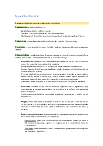 Tema-4-.pdf