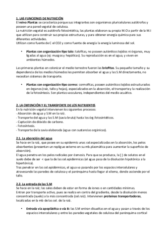 BIO-TEMA-12-FUNCION-DE-NUTRICION-EN-LAS-PLANTAS.pdf