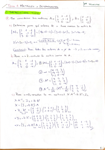 Tema-1-Matrices-y-determinantes.pdf