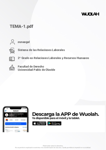 TEMA-1-SISTEMAS-DE-RRLL-modificado.pdf