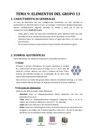 TEMA-9-ELEMENTOS-DEL-GRUPO-13.pdf
