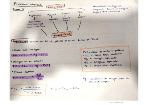 practica-empresa-II.pdf