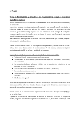 Sanidad-de-los-Mamiferos-Marinos-Segundo-Parcial.pdf