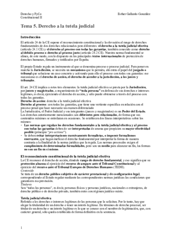 TEMA 5 RESUMEN.pdf