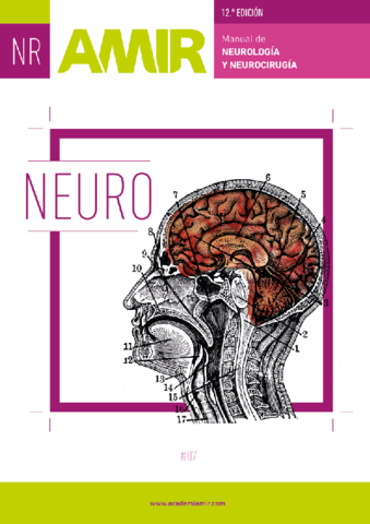 MANUAL-AMIR-DE-NEUROLOGIA-Y-NEUROCIRUGIA-12-EDICION.pdf